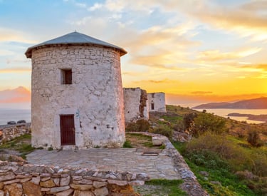 gumbet şoförlü araç kiralama