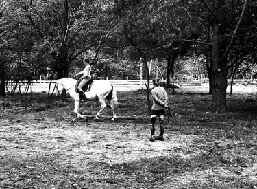 a man riding a horse in a field