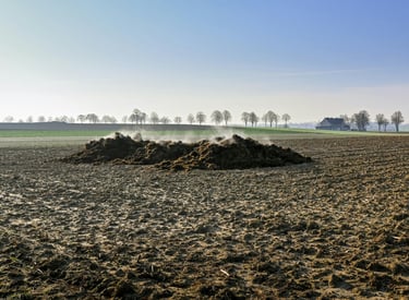 Biosolids and animal-based waste