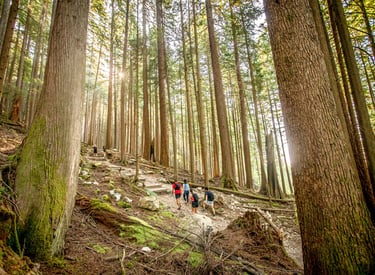 a group of people hiking up a mountain in Vancouver