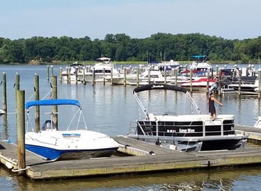 The marina filled with boats
