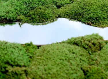 a group of birds flying over a field of moss