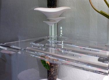 a plant in a glass case with a potted plant