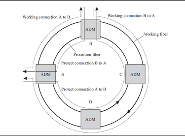 Network redundancy and diversity