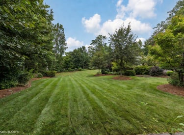 Freshly cleaned backyard in Fredericksburg Virginia after professional yard cleanup service