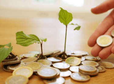 Economia consciente ahorro libertad financiera