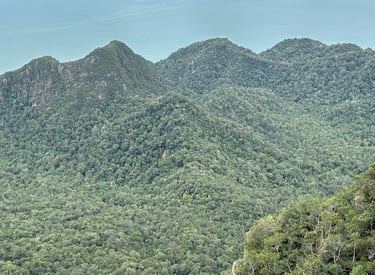 Mountain view of Gunung Raya in Langkawi, Malaysia, with surrounding tropical rainforest.