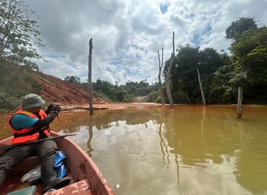 Fish survey conducted by NATURETECH team in a sedimentation pond for biodiversity assessment.