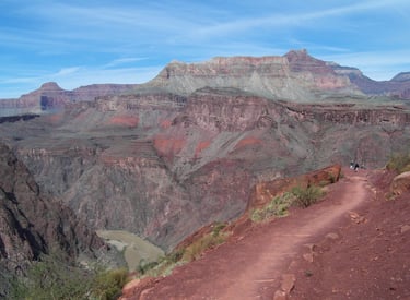 Kaibab View
