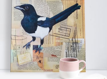 a mixed media painting of a magpie eating a custard cream biscuit by carolynne coulson