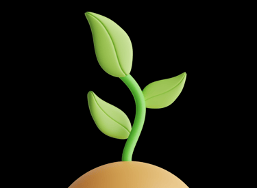 a plant growing out of a potted plant