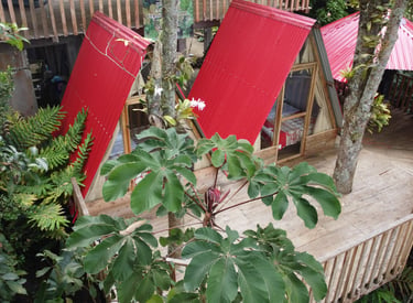 Cabañas rurales entre vegetación tropical y árboles frutales