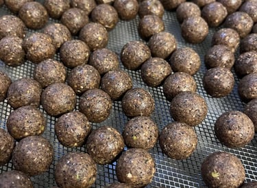 bouillettes de pêche a carpe