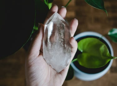a person holding a piece of crystal next to a potted plant