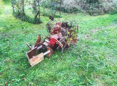 current situation ikebana performance at Crossbreeds Cracks Currents PF25 Dornach Extension Exhibition