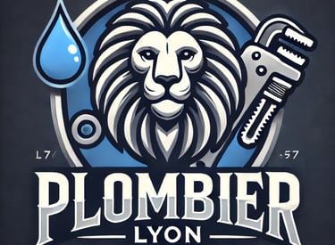 plombier Lyon, David MARTIN 06 84 45 46 67 APAMS plomberie Lyon