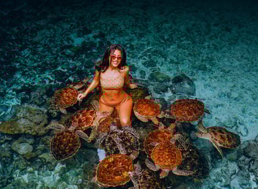 tourist enjoying an interactive tour with sea turtles at the Zanzibar Sea Turtle Aquarium, exploring marine life