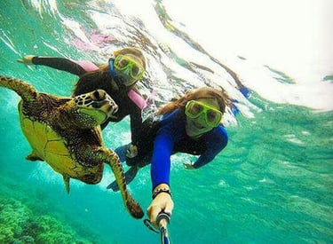 Tourists swimming and taking a selfie with a sea turtle during a Mnemba Island Zanzibar snorkeling tour