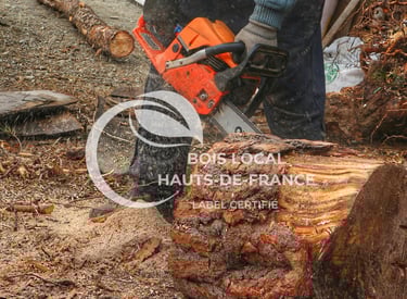 un homme utilise une tronçonneuse pour abattre un arbre