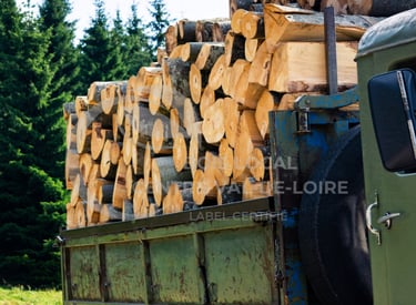 un camion avec une cargaison de billots à l'arrière
