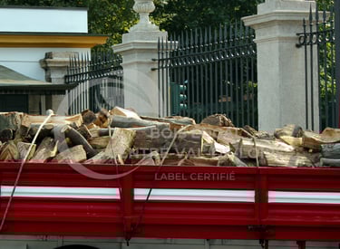 un camion avec beaucoup de bûches à l'arrière