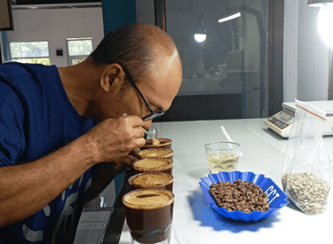 Coffee testing session at Dwipa Coffee – cupping Indonesian Arabica beans for quality assurance.