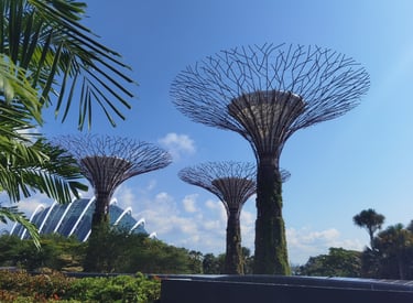 Singapour Supertrees Garden In The Sky