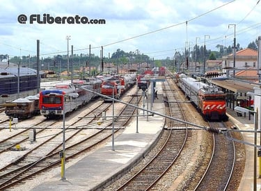 Manugalde Beira Alta 2005