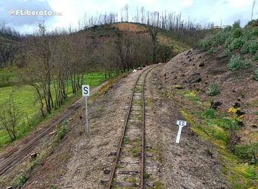 Vouga km60
