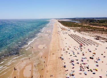 a beach with many umbrellas and umbrellas