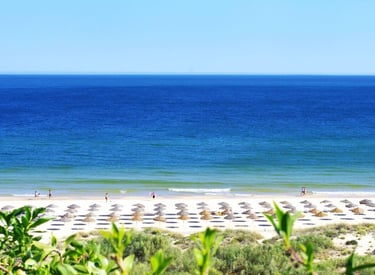 a beach with umbrellas and umbrellas on the beach