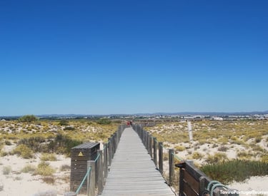 a wooden boardwalk with a wooden walkway leading to a beach