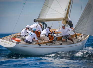 Palynodie, la beauté et la tradition de la voile