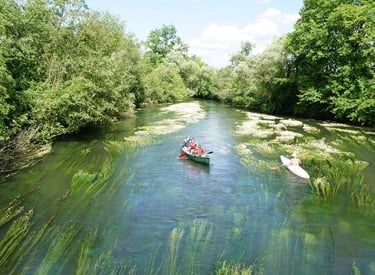 1 Barque et 1 canoë sur une rivière presque recouverte de plantes vertes et bordée par une forêt