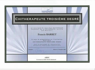 Diplôme de Chithérapeute 3 ème degré de Francis Barret