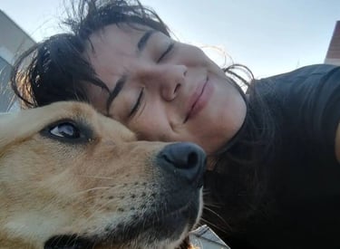 Cadela-lilo-pet-sitting