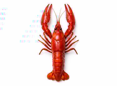 Whole crawfish seafood for bulk export markets