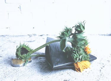 hedy leung - sogetsu ikebana school