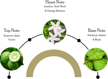 dessin fleur citron menthe avec des descriptions