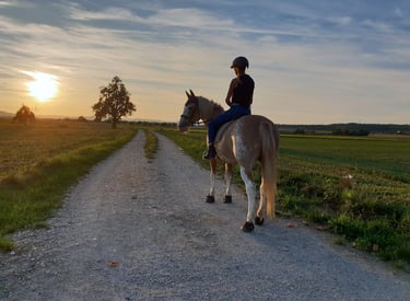 Mädchen reitet mit ihrem Pferd in den Sonnenuntergang