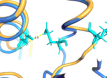 Análisis in silico de proteínas predichas por AlphaFold por Dr. Pablo A. Méndez Médico Genetista