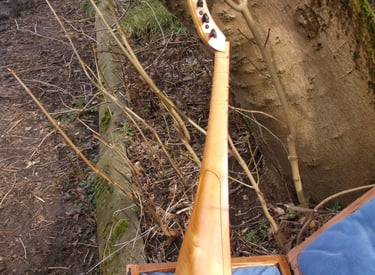 gittern side view