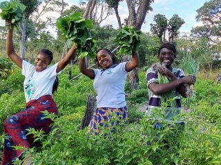 a group of people standing in a field with plants