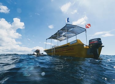 Polhena Diving Center Boat