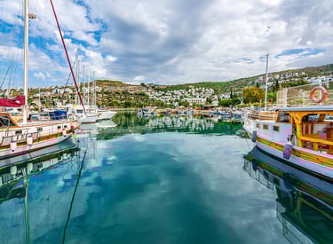 gündoğan şoförlü araç kiralama