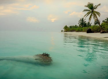 Bangaram, Lakshadweep