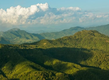 Khawnglung Wildlife Sanctury