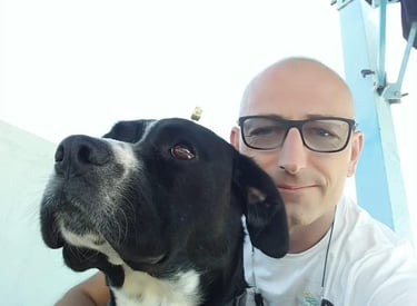 dog manager hotel