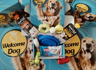 welcome dog in regalo