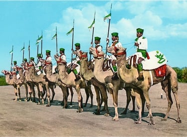 Aden Protectorate Levies